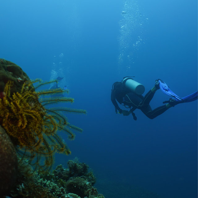 Scuba diving in Okinawa