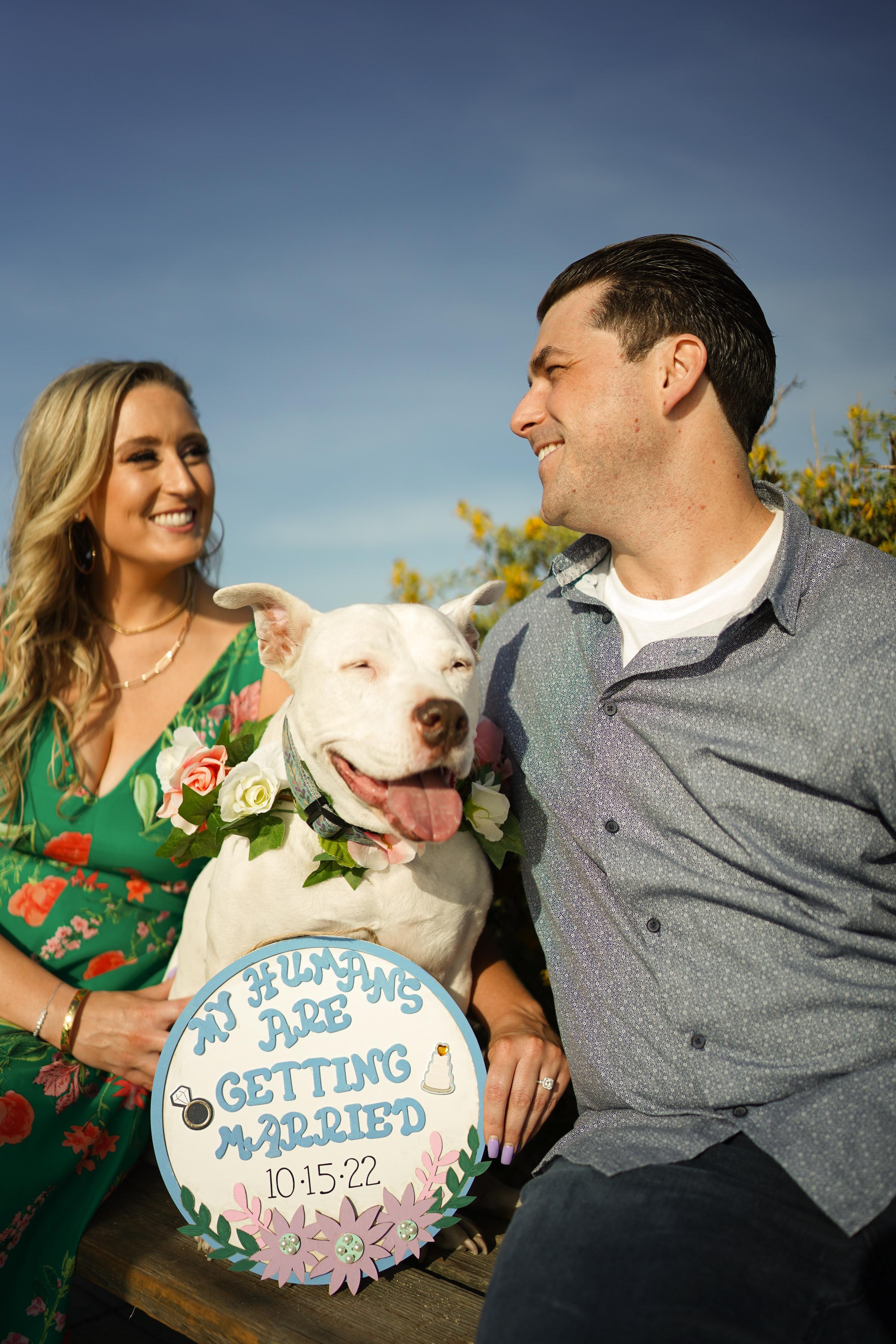 The Wedding Website of Alleson Frampton and Jake Galpin