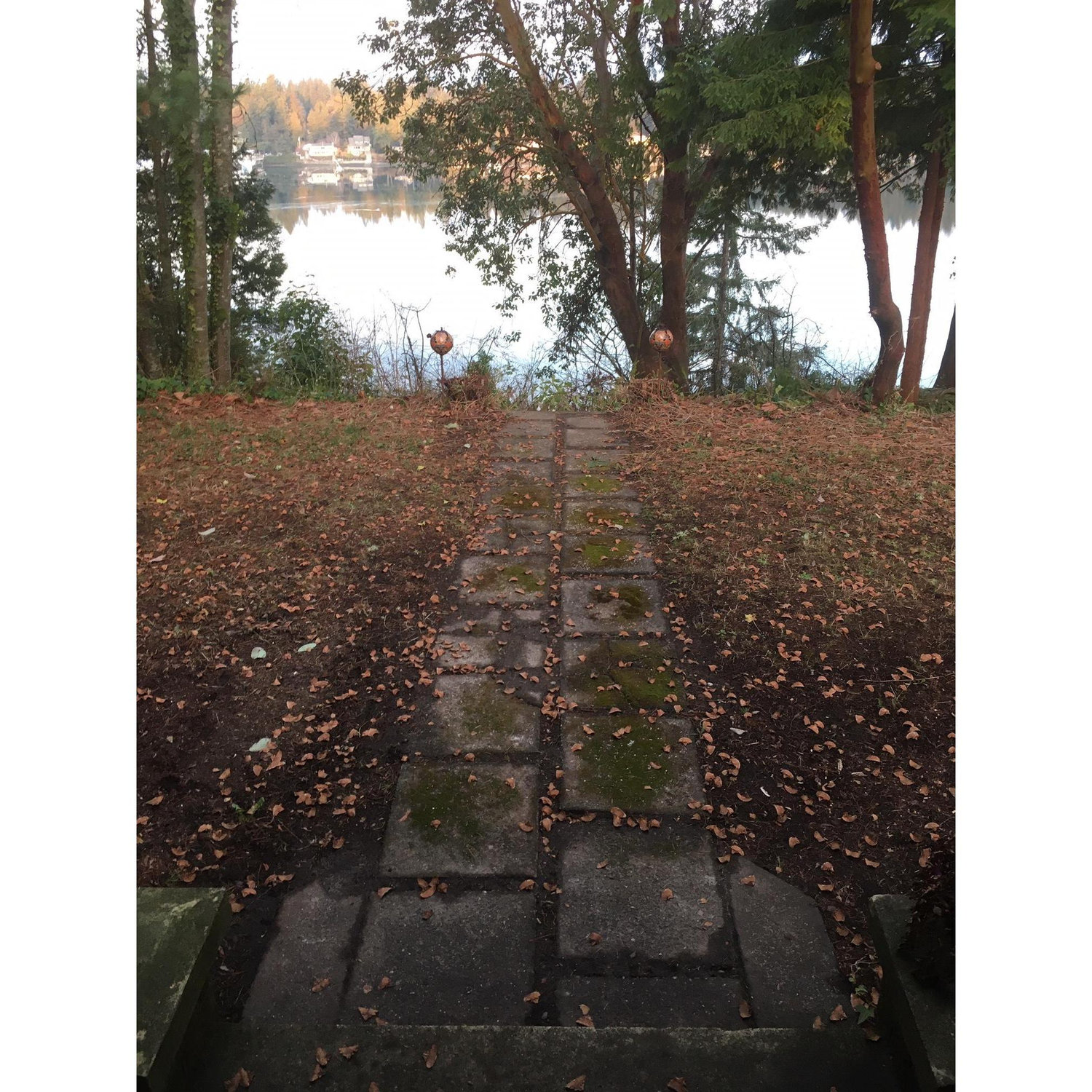 Trail to the beach