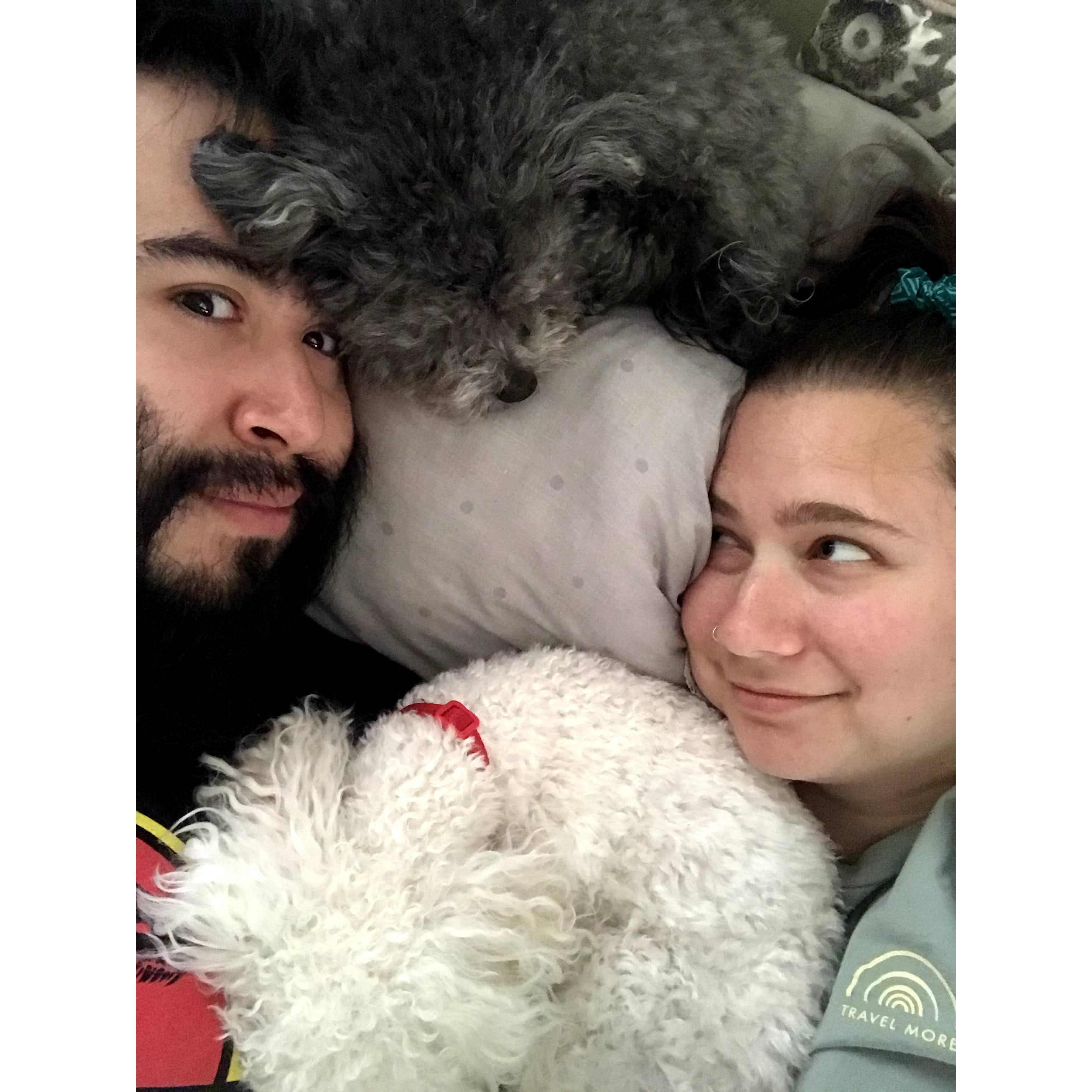 doggos
