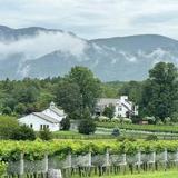 Veritas Vineyards and Winery