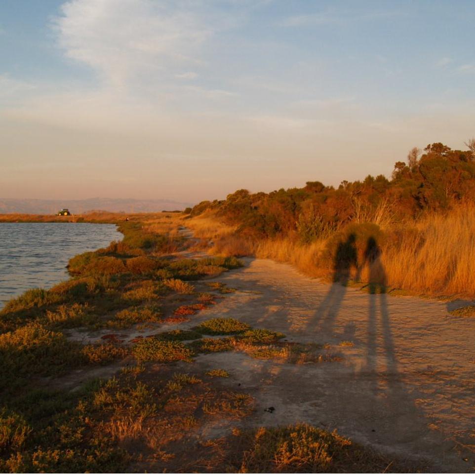 One of our many visits to Shoreline Lake (2013)