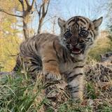 Oklahoma City Zoo
