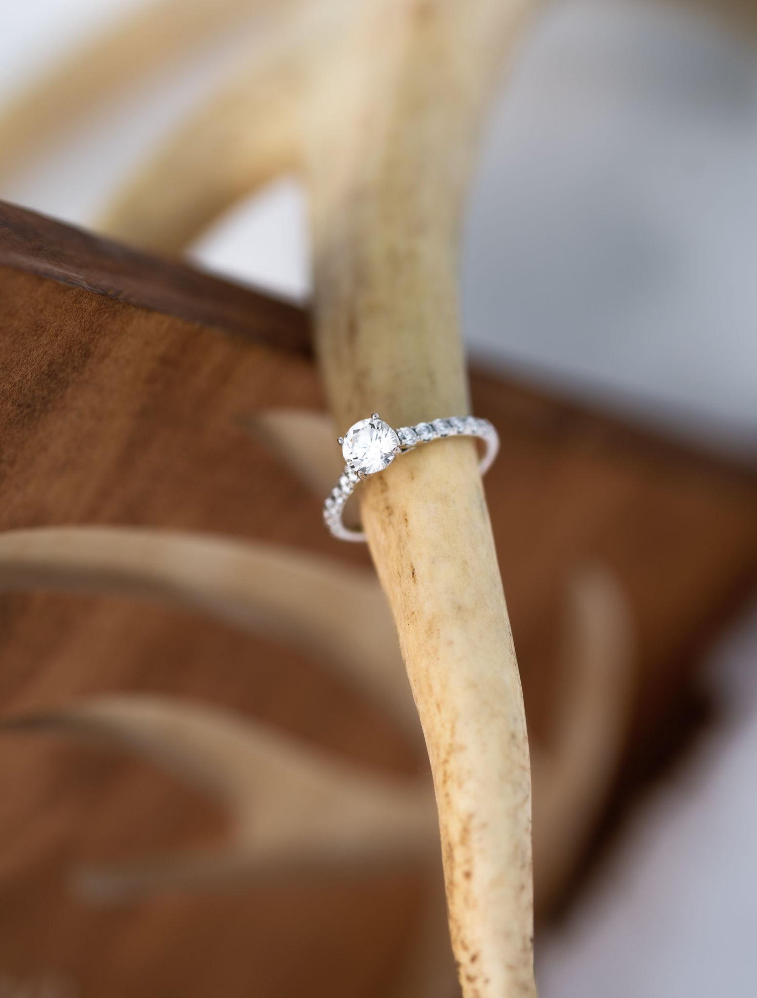 The Wedding Website of Abigail Schaalma and Joshua Goudreau