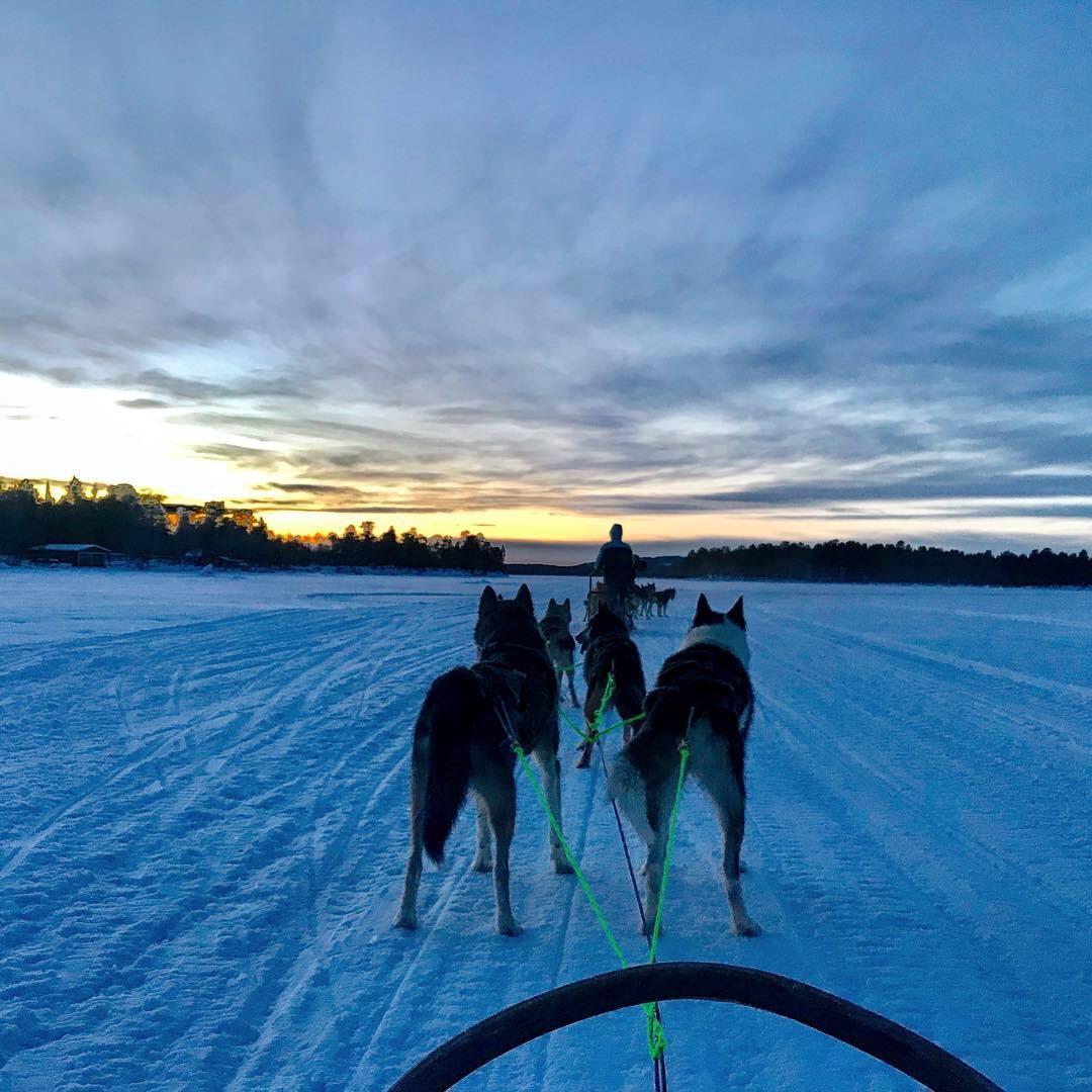 A moment of calm to appreciate the sky during our Lapland dogsled excursion in Finland
2019