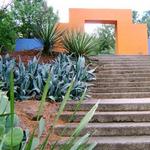 Latin American Ethnobotanical Garden