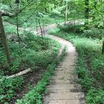 Saint Pat's Park