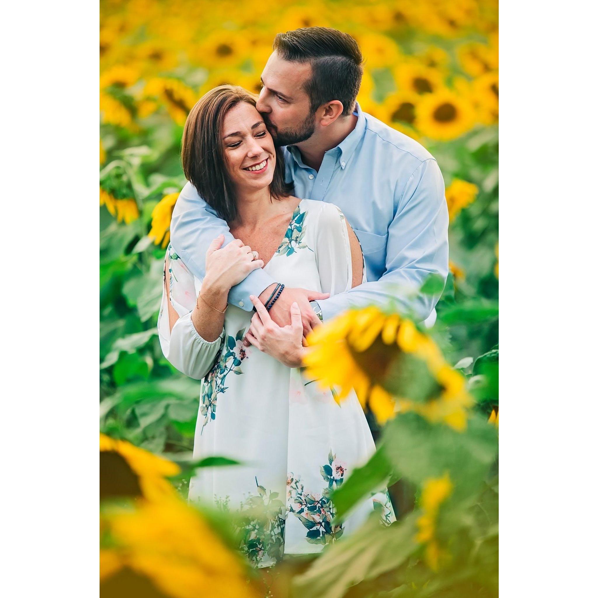 🌻🌻🌻