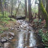 Wolf Creek Trail