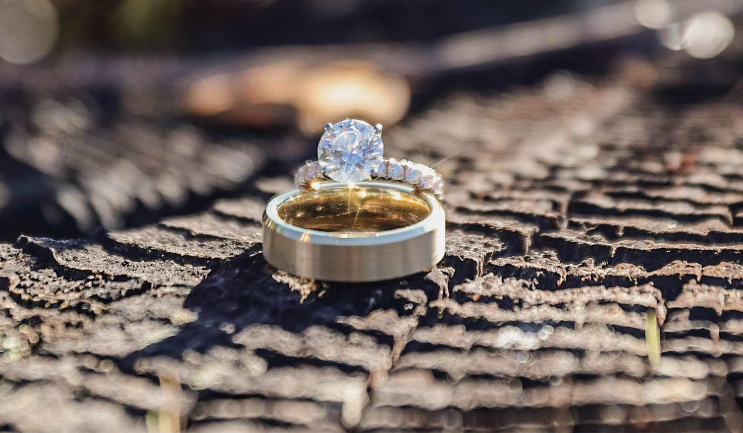 The Wedding Website of Dorothy Robinson and Shai Vun Chea