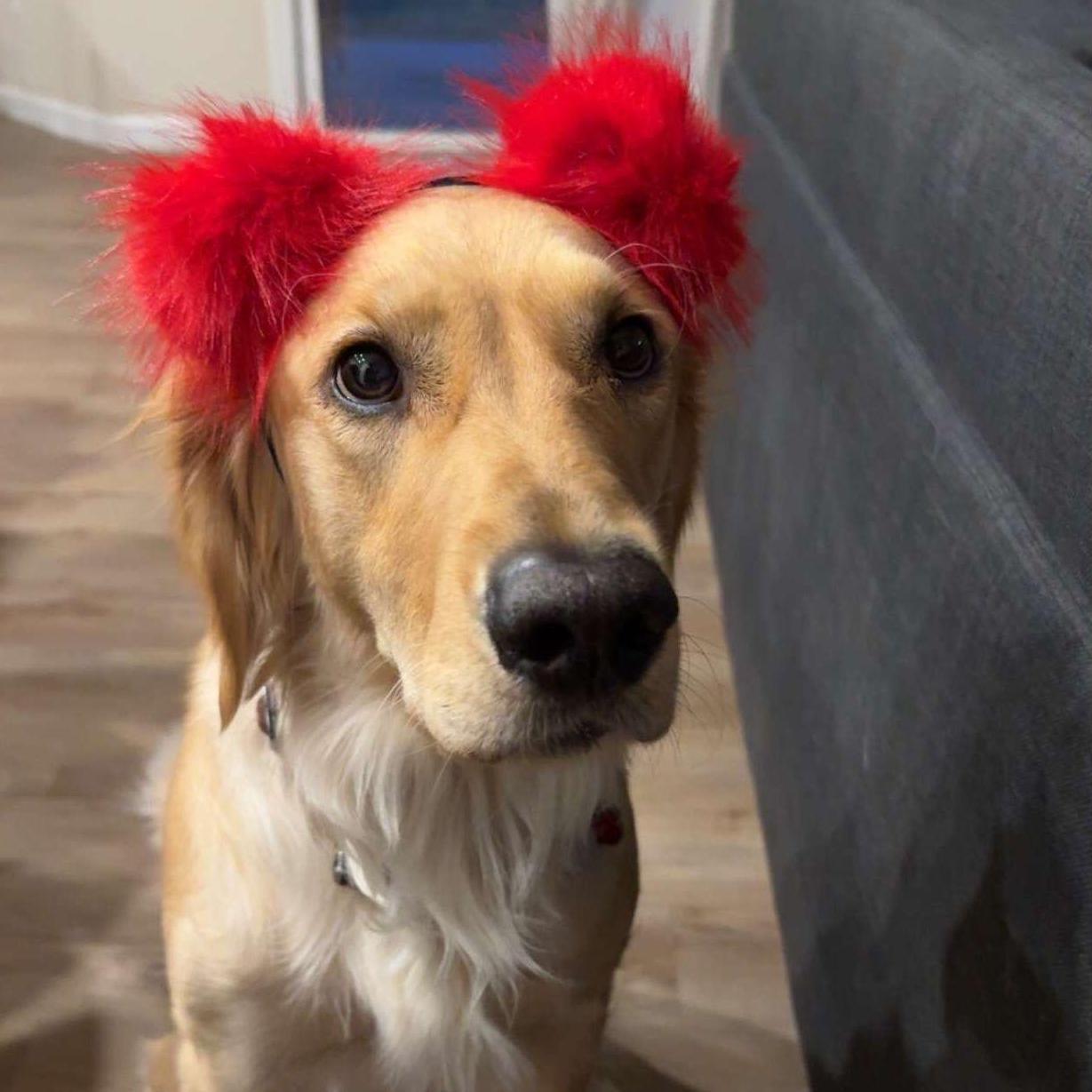 Suki, October 2024