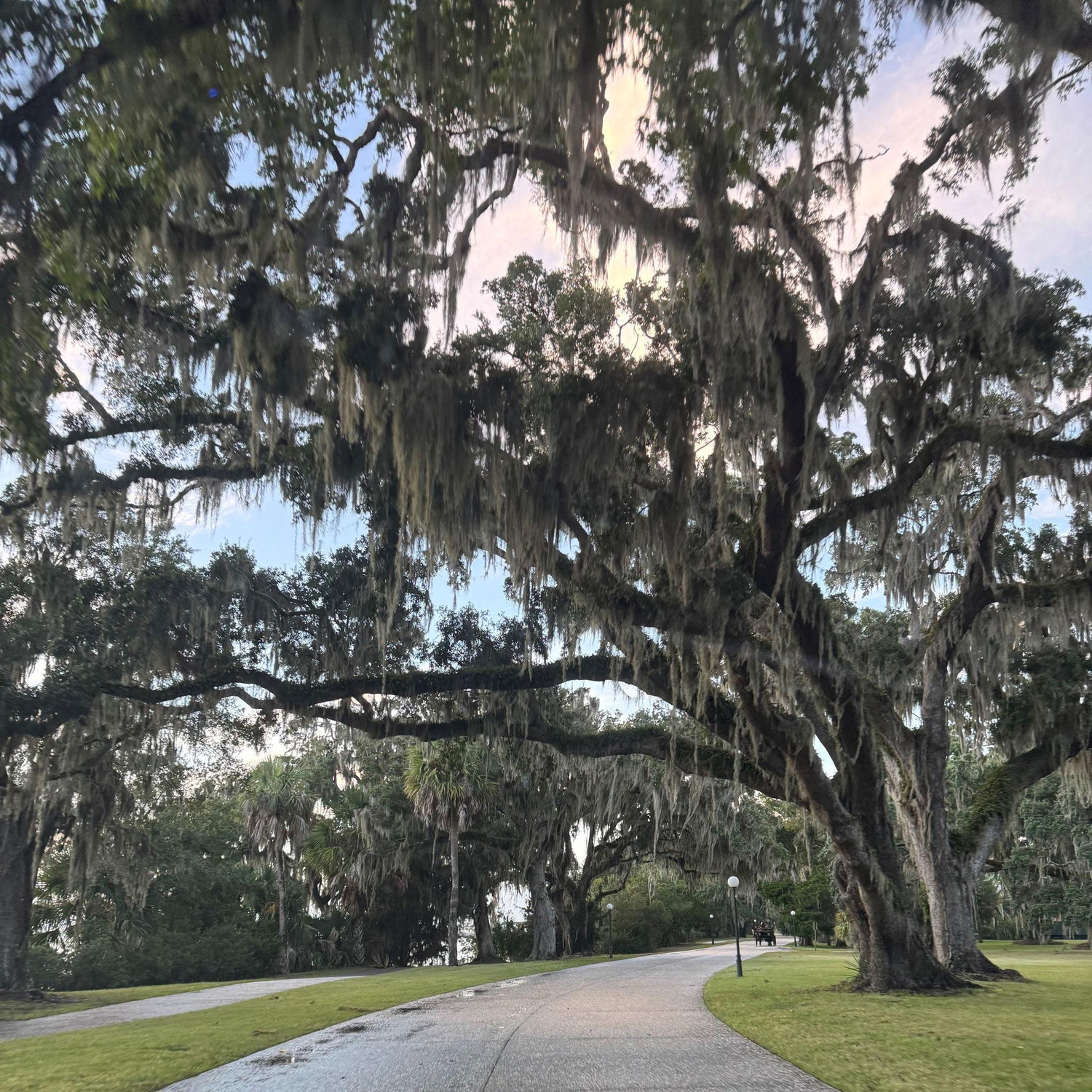A sneak peek at Jekyll Island's natural beauty