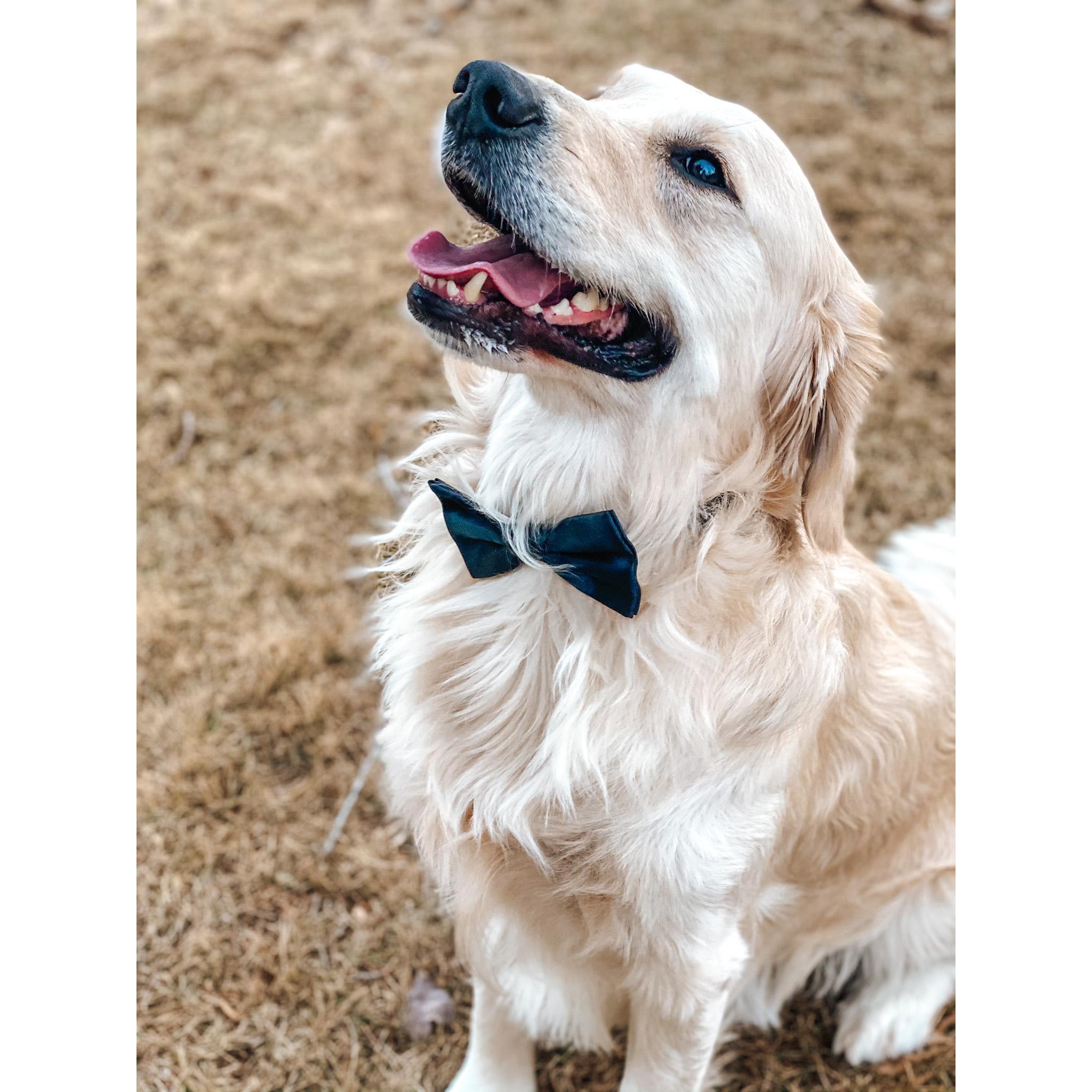 Our first born, Chipper!