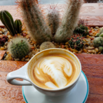 Bird Rock Coffee Roasters
