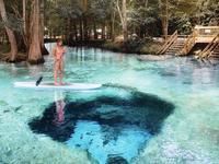 Ginnie Spring
