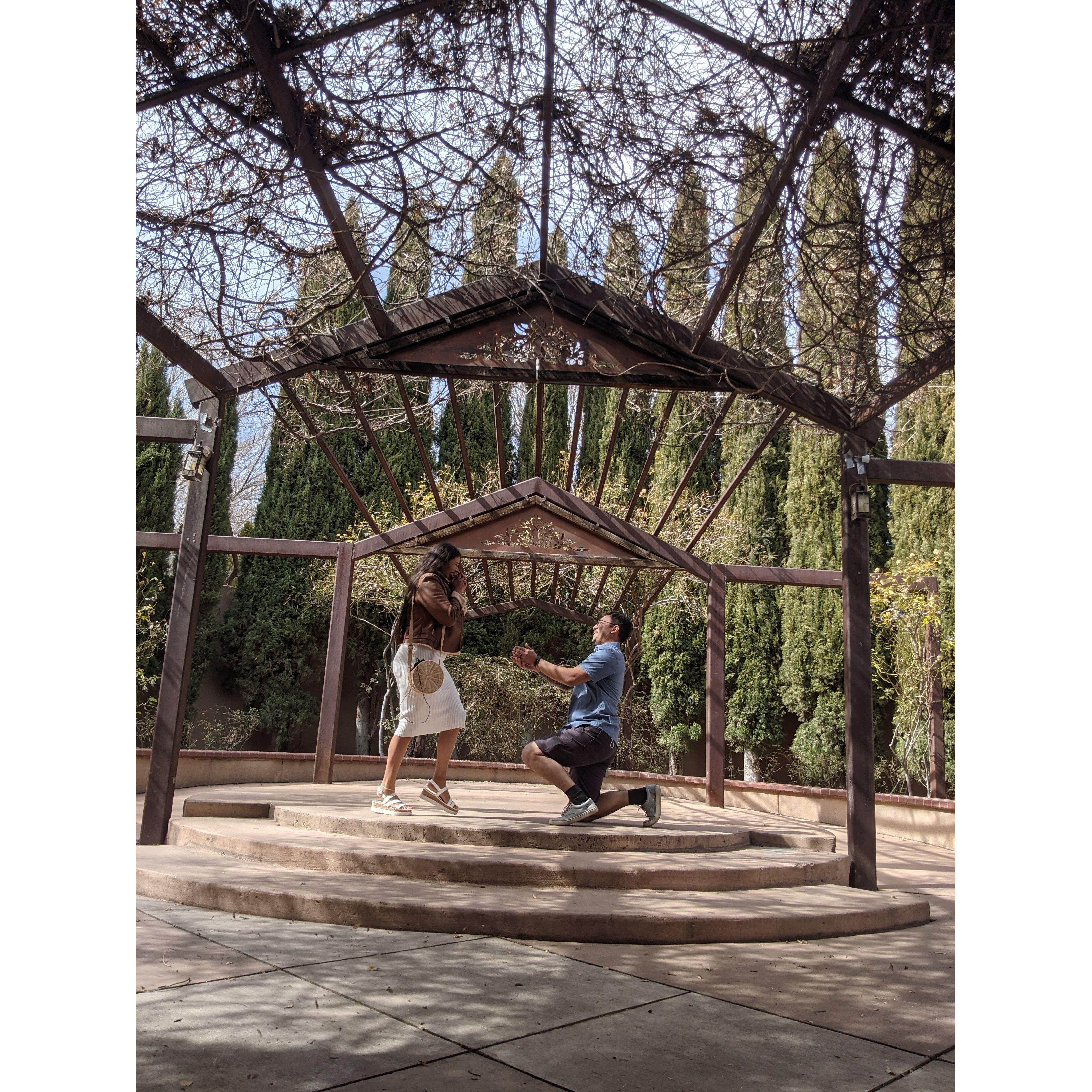 We thought sending a fake proposal picture to his mom would be funny. She fell for it.
