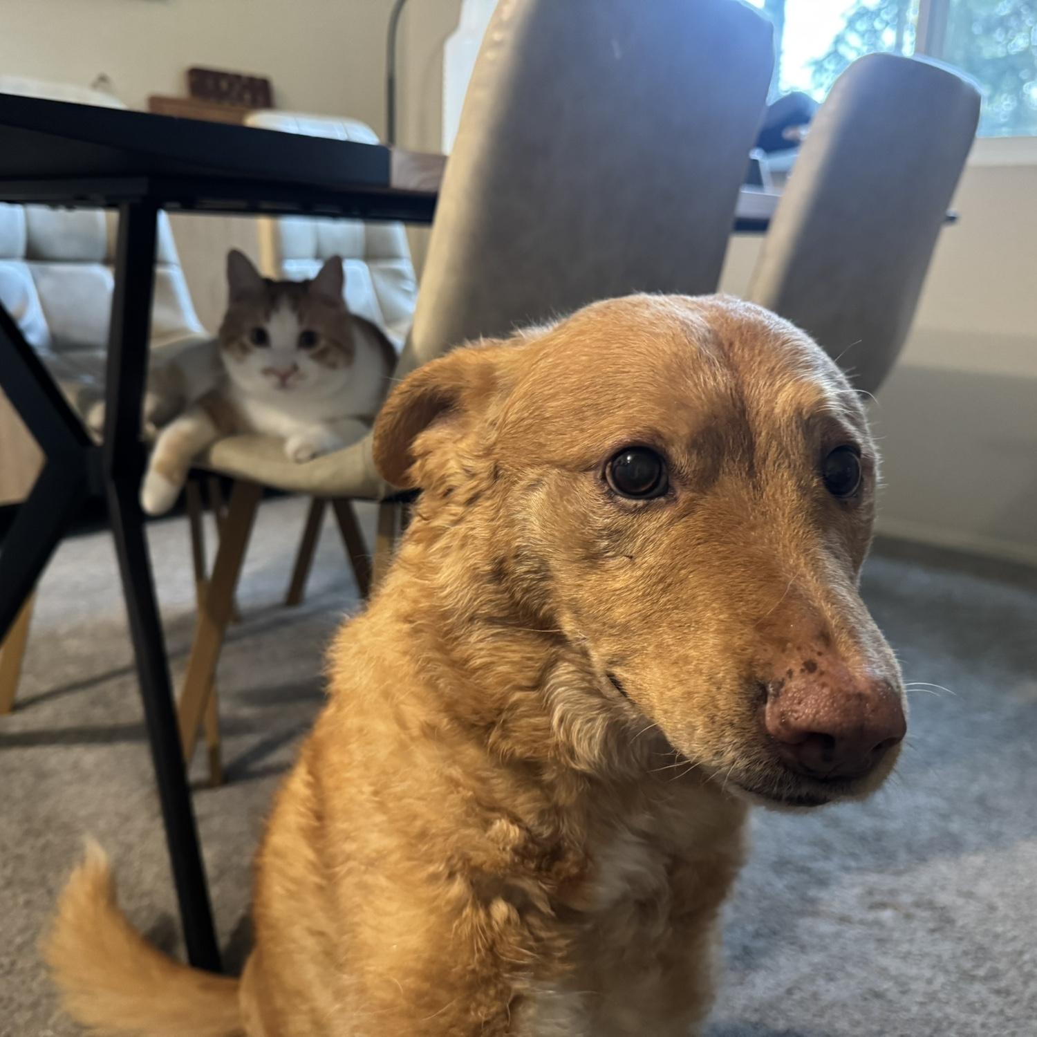 Let’s just say, Frank and honey are working on their relationship.