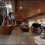 Arabia Steamboat Museum