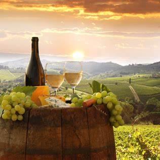 Vineyards in Tuscany