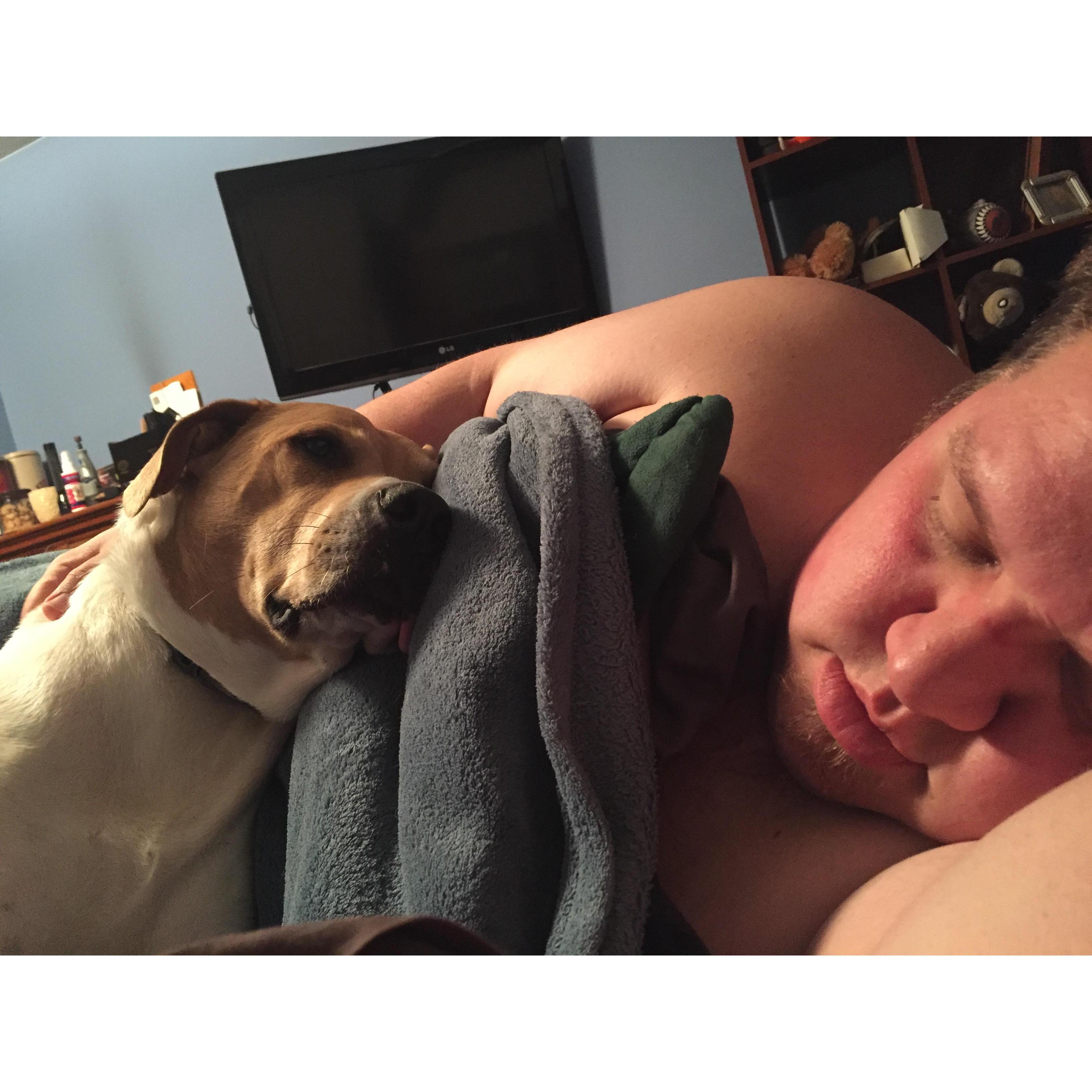 Certainly not a snuggler...