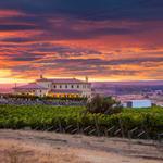 Wine Tasting