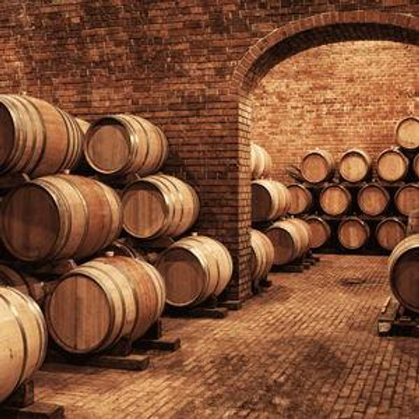 HONEYMOON | Winery Tour & Tasting