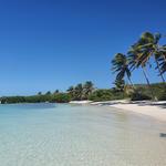 Contoy Island 🏝️