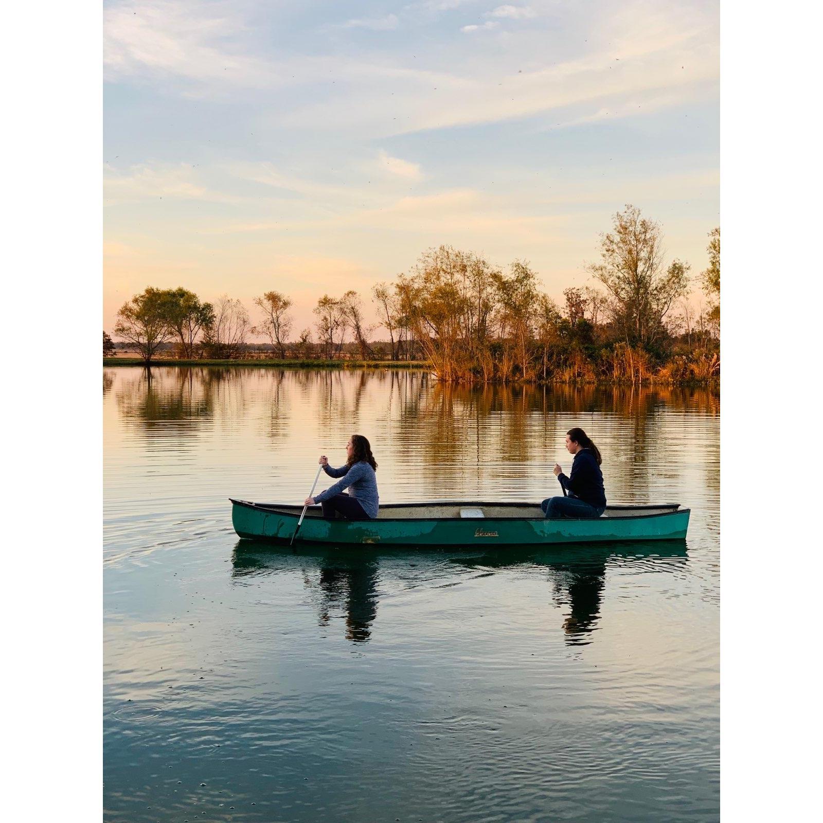 Duck Camp November 2018