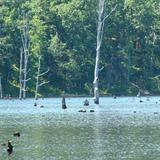 Sleepy Creek Lake