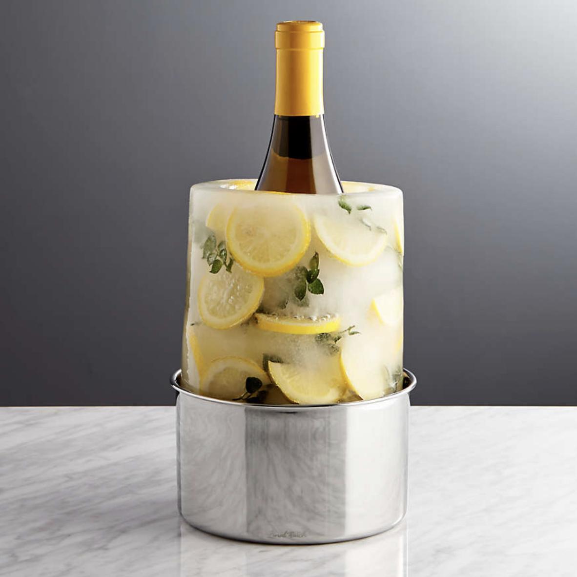 Ice Mold/Wine Bottle Chiller