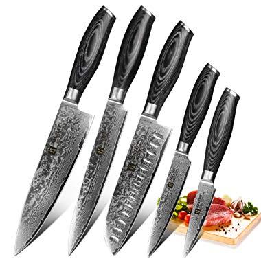 XINZUO 5PC Kitchen Knife Set Damascus Steel High Carbon Japanese VG10 Steel Chef Knife Slicing Santoku Knife Utility Knife Paring Knife Sets with Pakkawood - Ya Series