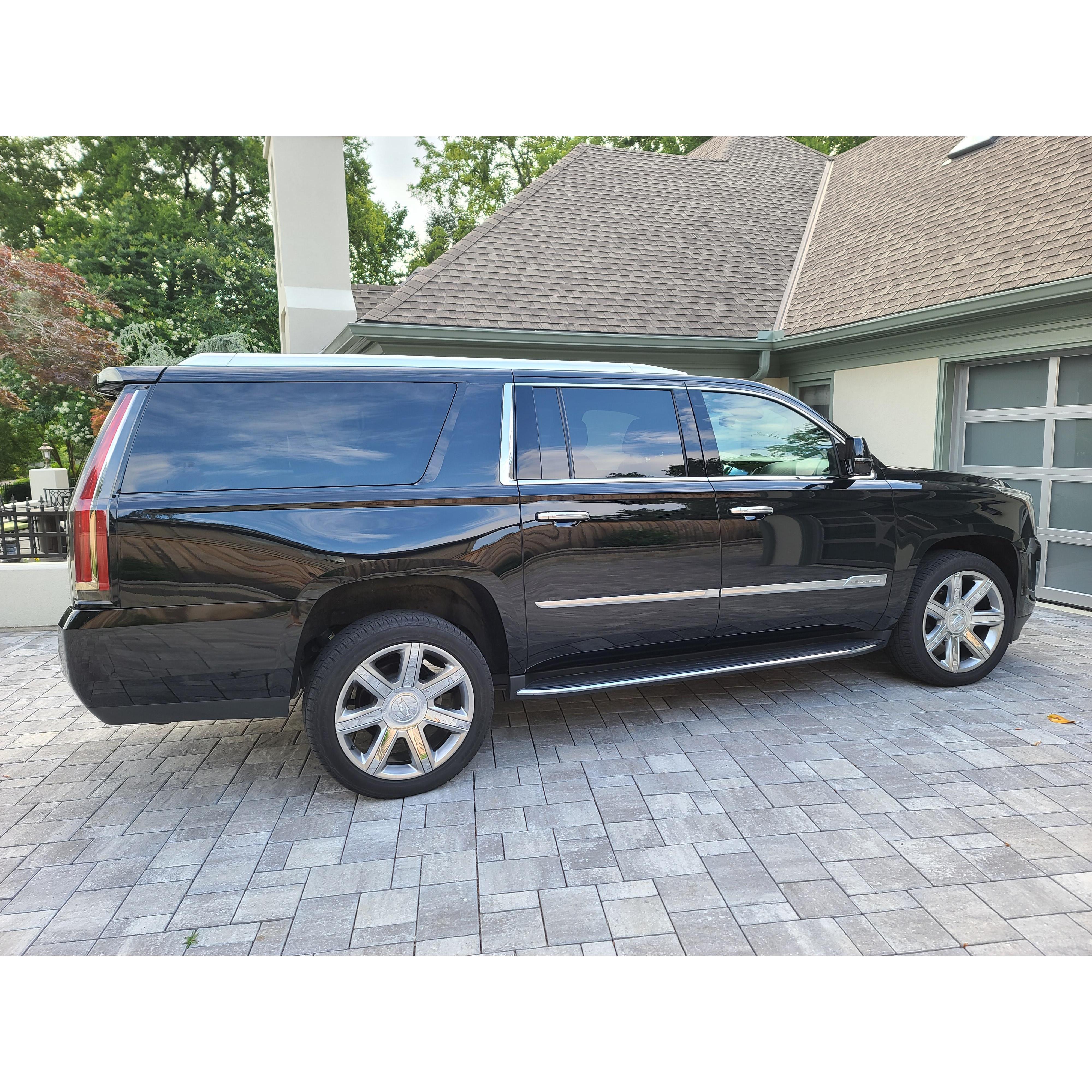 New car for the expanding family - kids and dogs!!