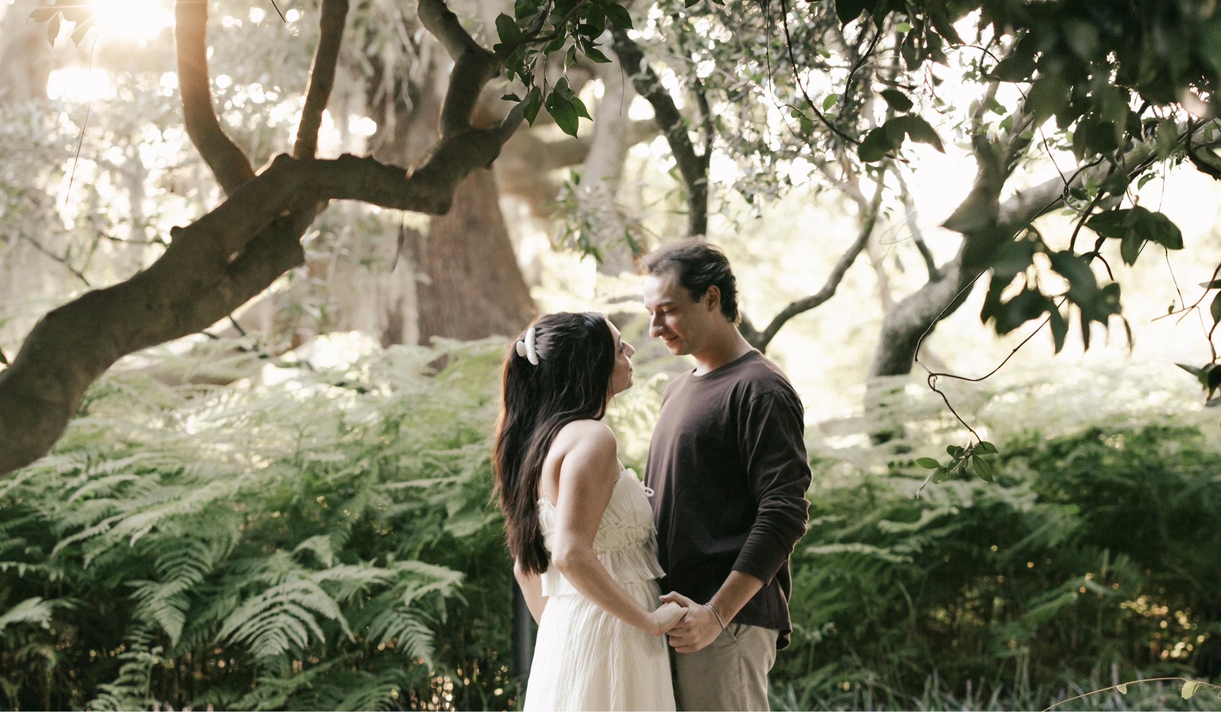 The Wedding Website of Nathan Gianakouros and Emily Gossett