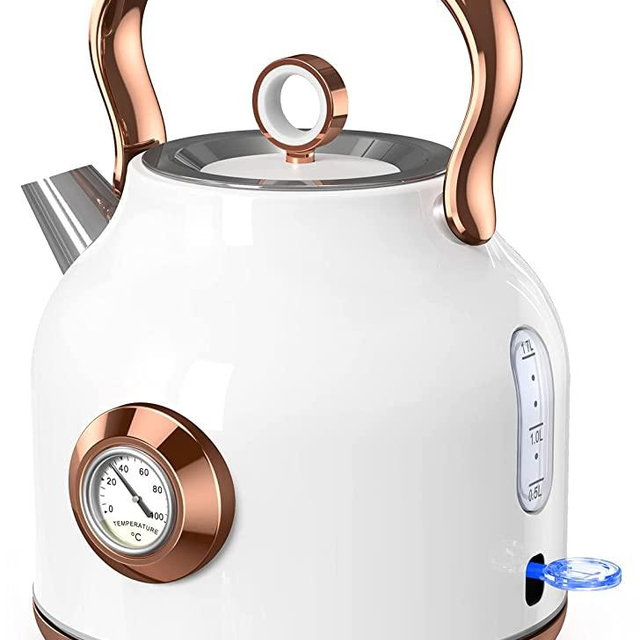 NESSGRAIM Retro Electric Kettle, 1.7L Stainless Steel Tea Kettle with Large Temperature Gauge, 1500W Fast Heating Hot Water Boiler with LED Indicator, Auto Shut-off & Boil-Dry Protection-Elegant White