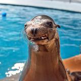 Mystic Aquarium