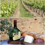 Armagnac and wine tasting