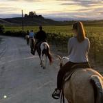 Wine Country Trails by Horseback