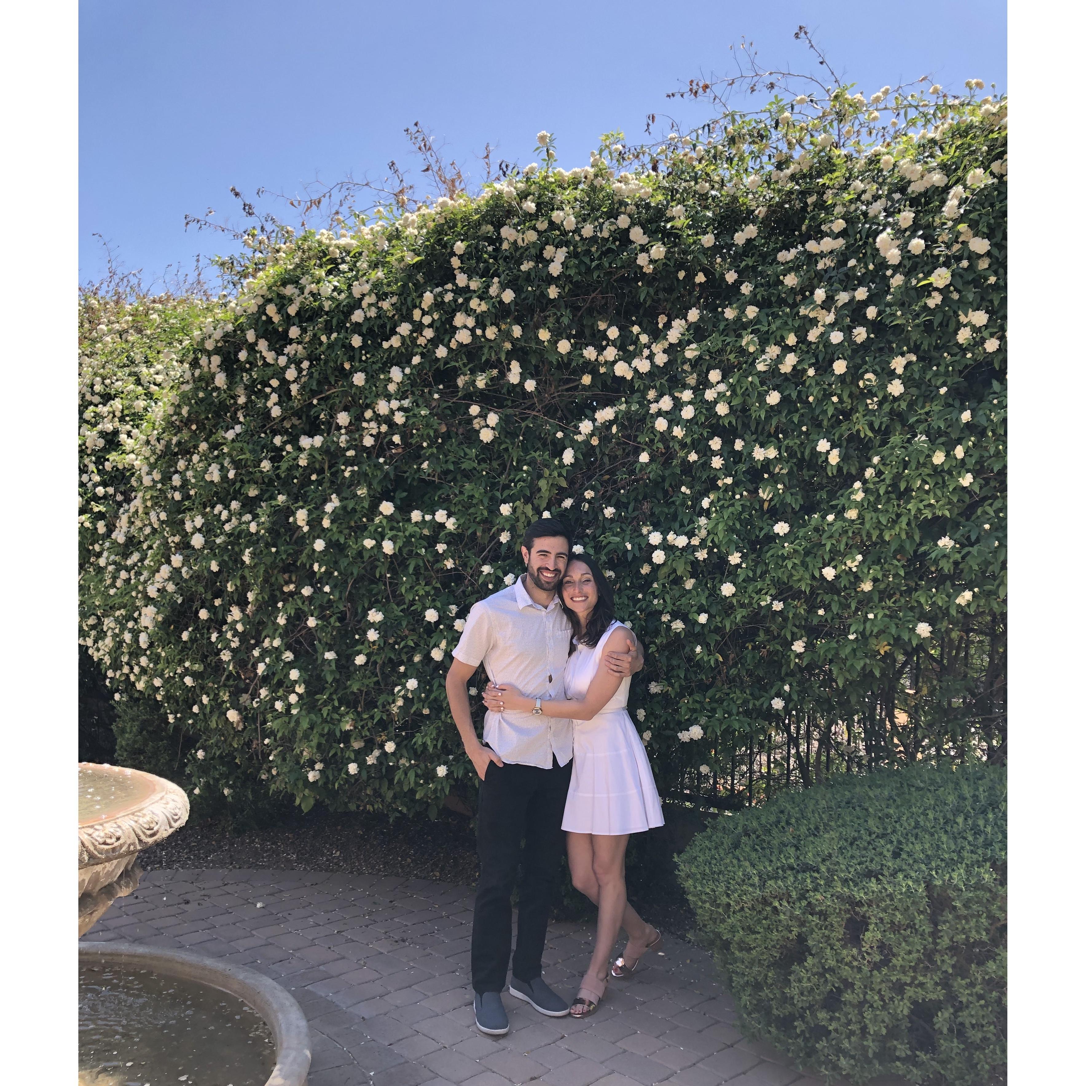 Spring blooms (Casa de Alan y Pnina)