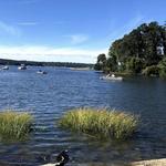 Cold Spring Harbor State Park