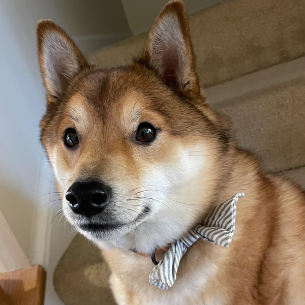 Something special for Poco