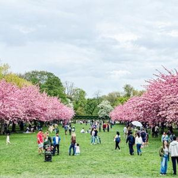 Brooklyn Botanical Garden Membership