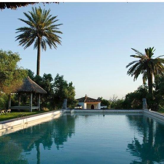 The Pool