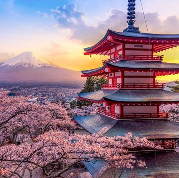 Honeymoon to Japan! ⛩️