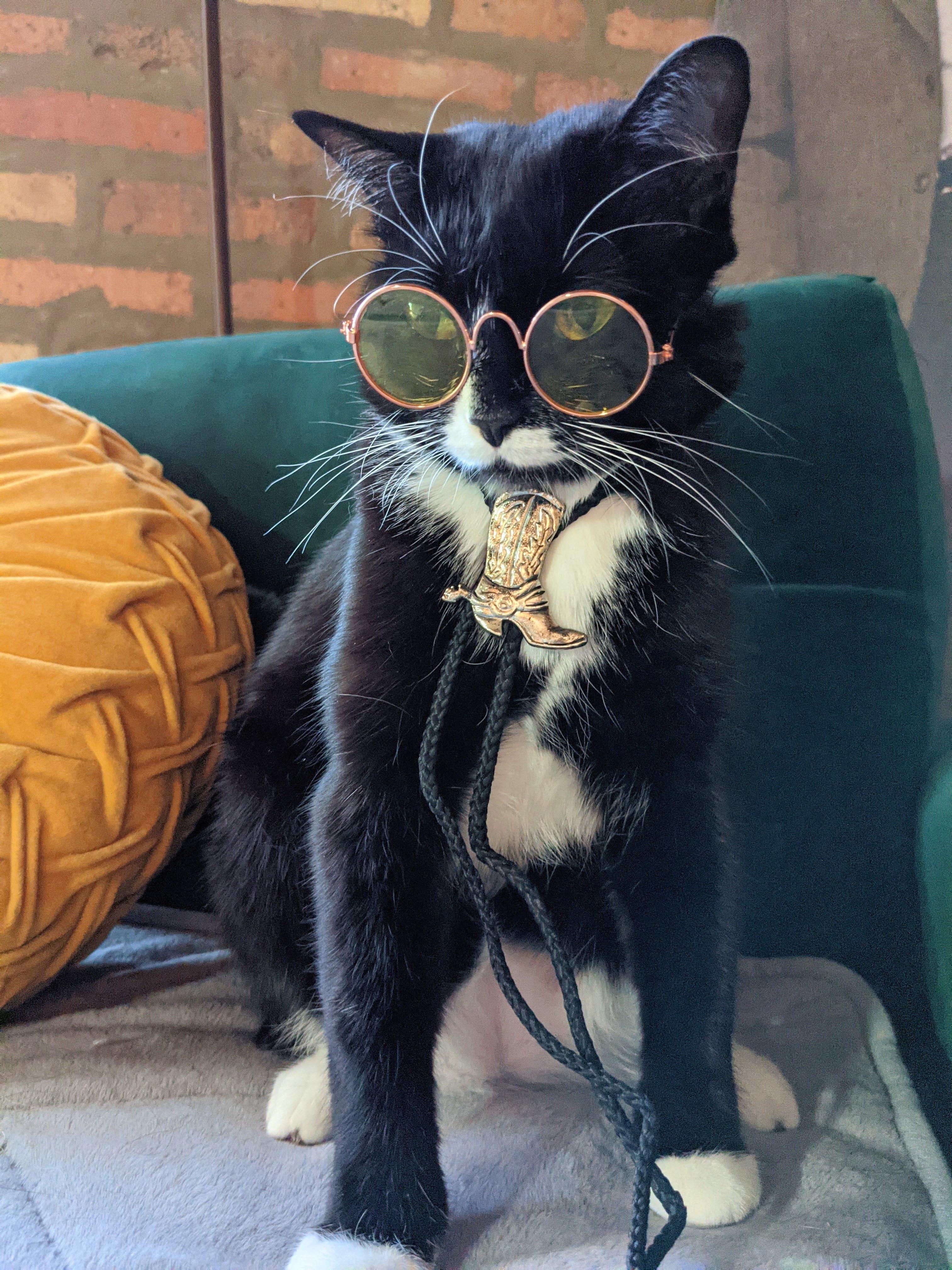 The Wedding Website of Carlene Liriano and Andy McNees