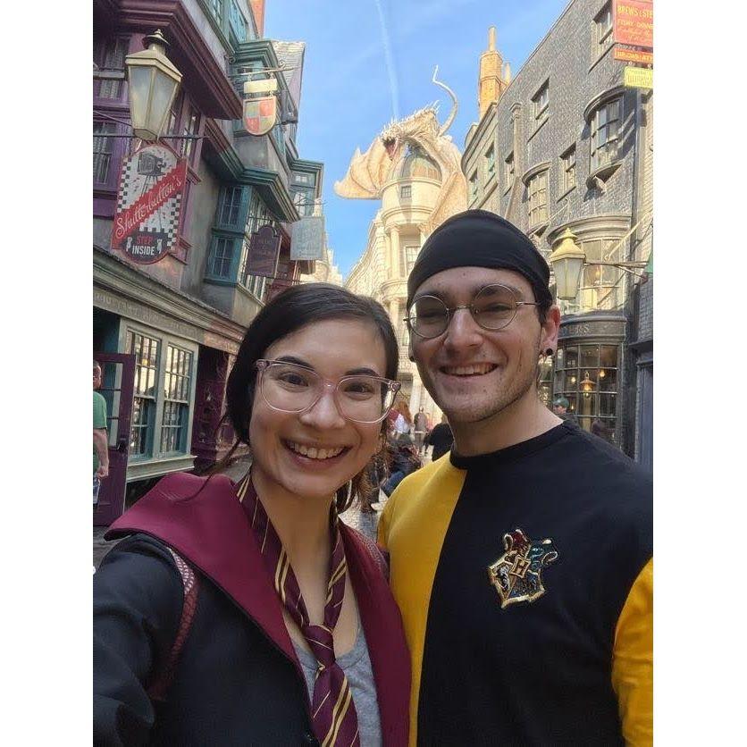 Harry Potter World, 2024