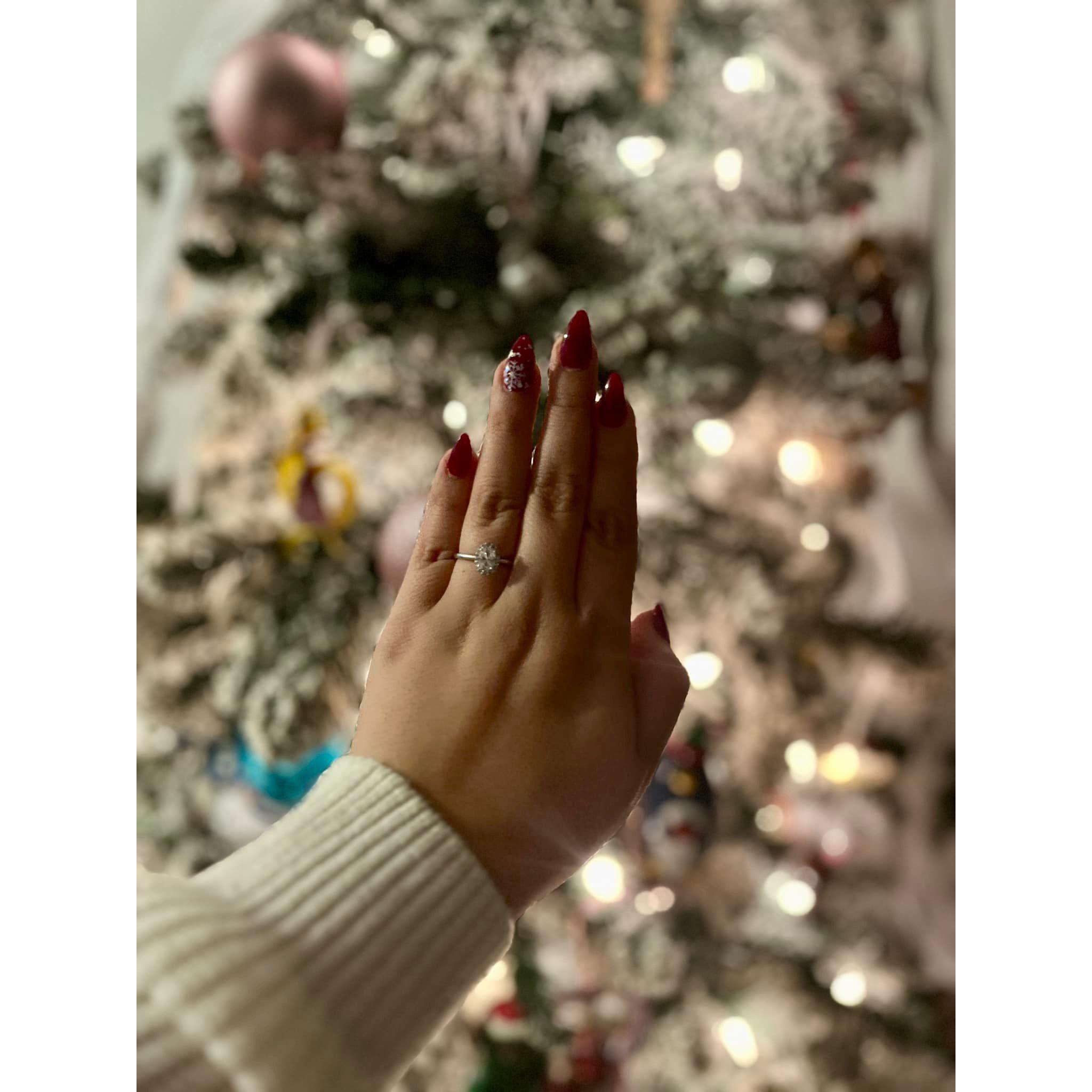 December 2023- We're engaged!