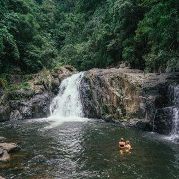 Hiking Excursion in Cairns