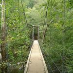 Eno River State Park