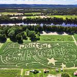 Mike's Maze