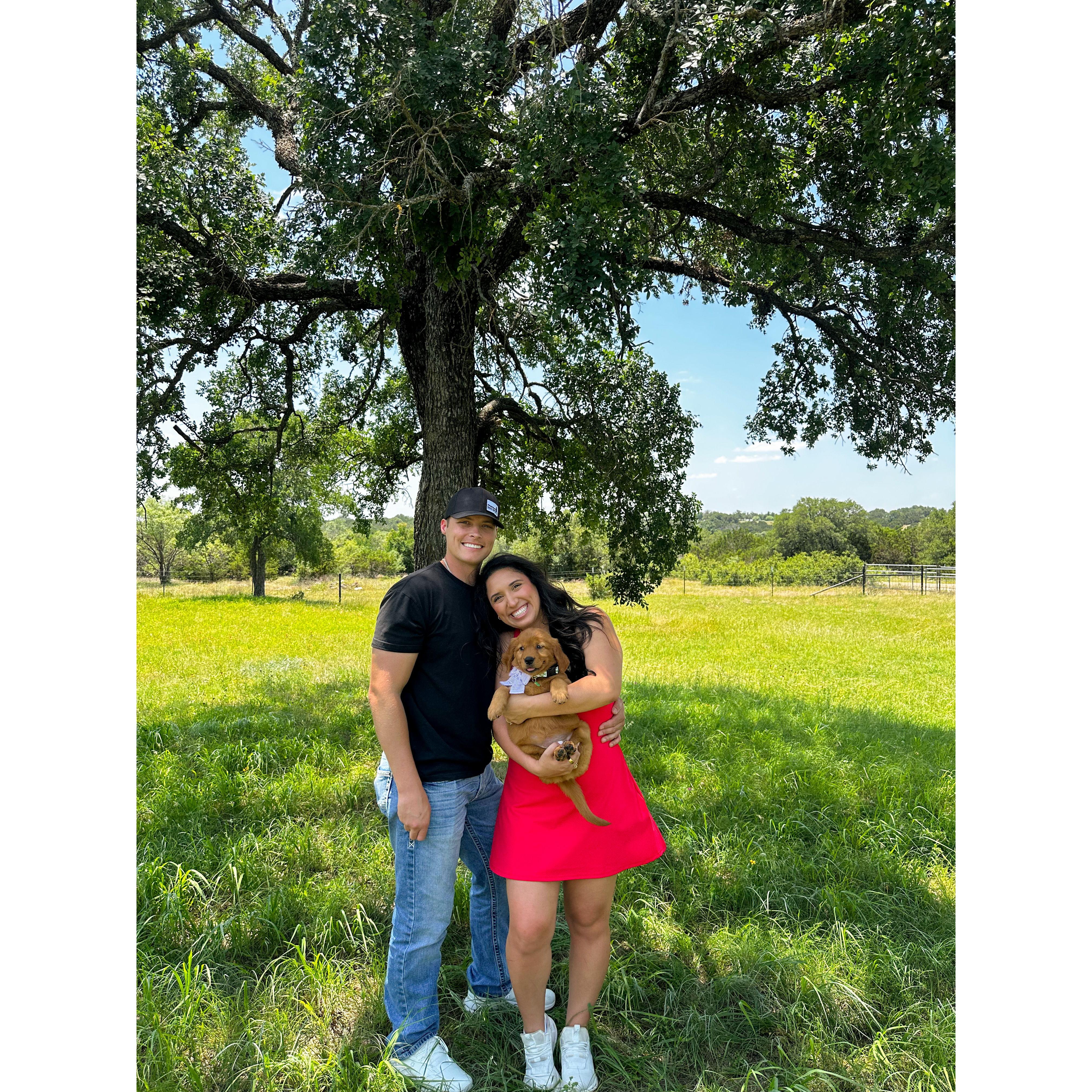 Added our babygirl REX, to our little family!